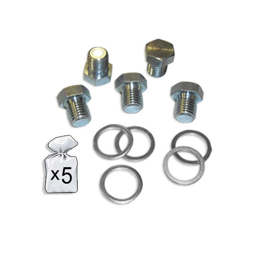 SET DE REPUESTOS REPARACIÓN CÁRTER M15X1.5P