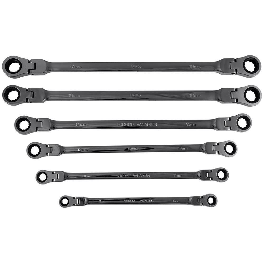 SET OF 6 ARTICULATED RATCHET WRENCHES IN CASE