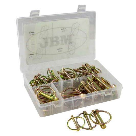ESTUCHE DE PASADORES CON ANILLA 50PCS