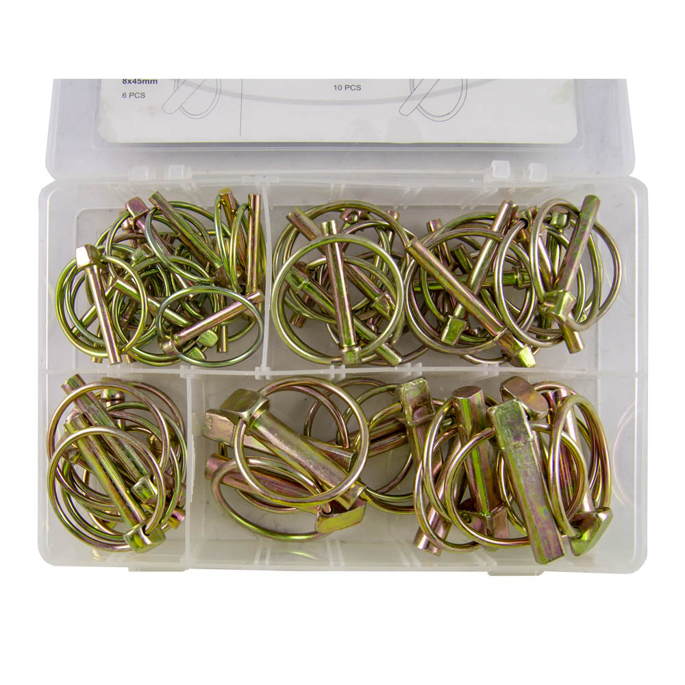 ESTUCHE DE PASADORES CON ANILLA 50PCS